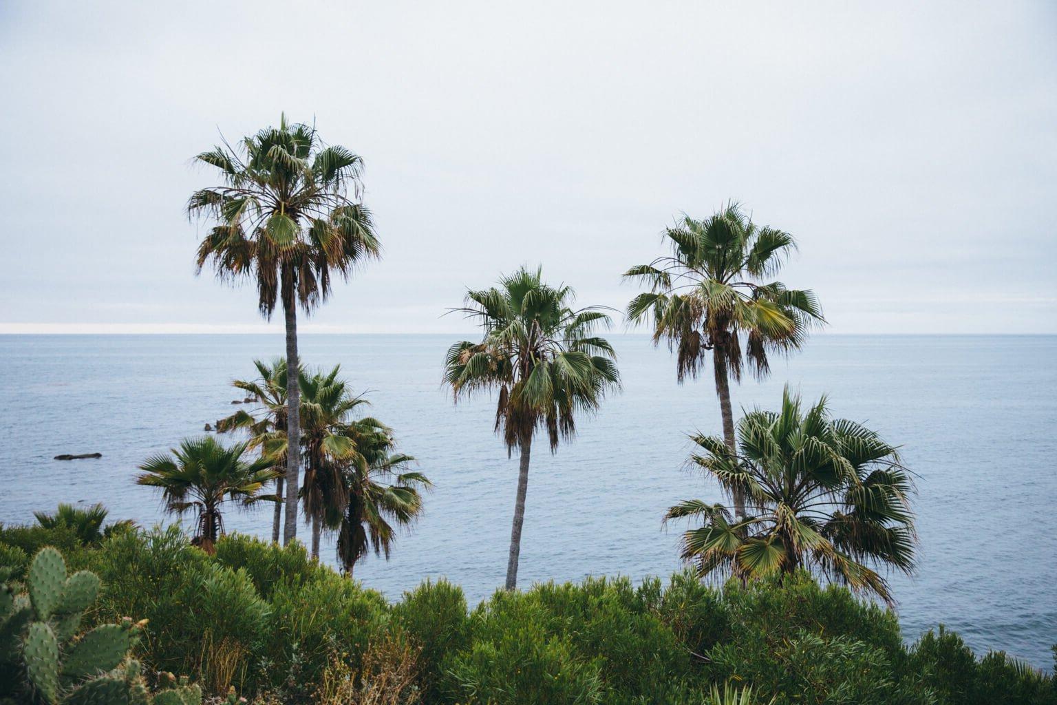 cali beach2-1
