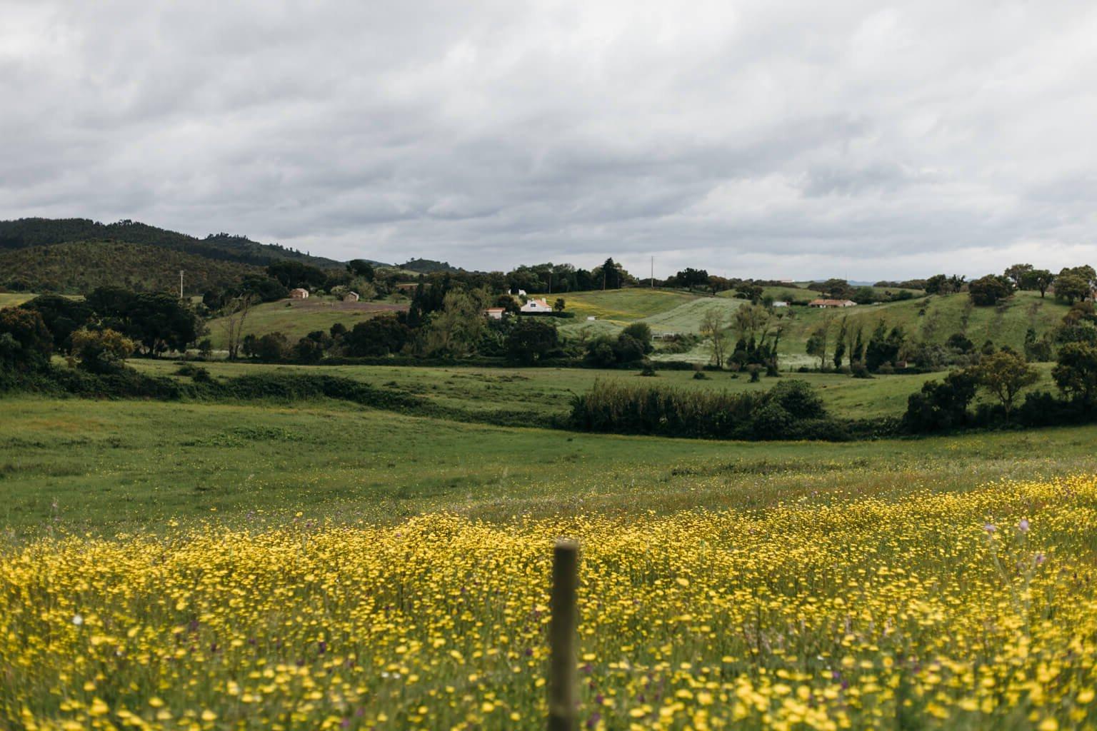 Food & Lifestyle Photography Workshop: Alentejo, Portugal