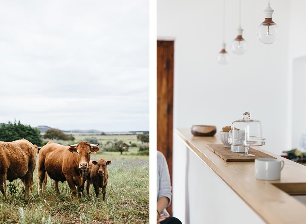 Food & Lifestyle Photography Workshop: Alentejo, Portugal
