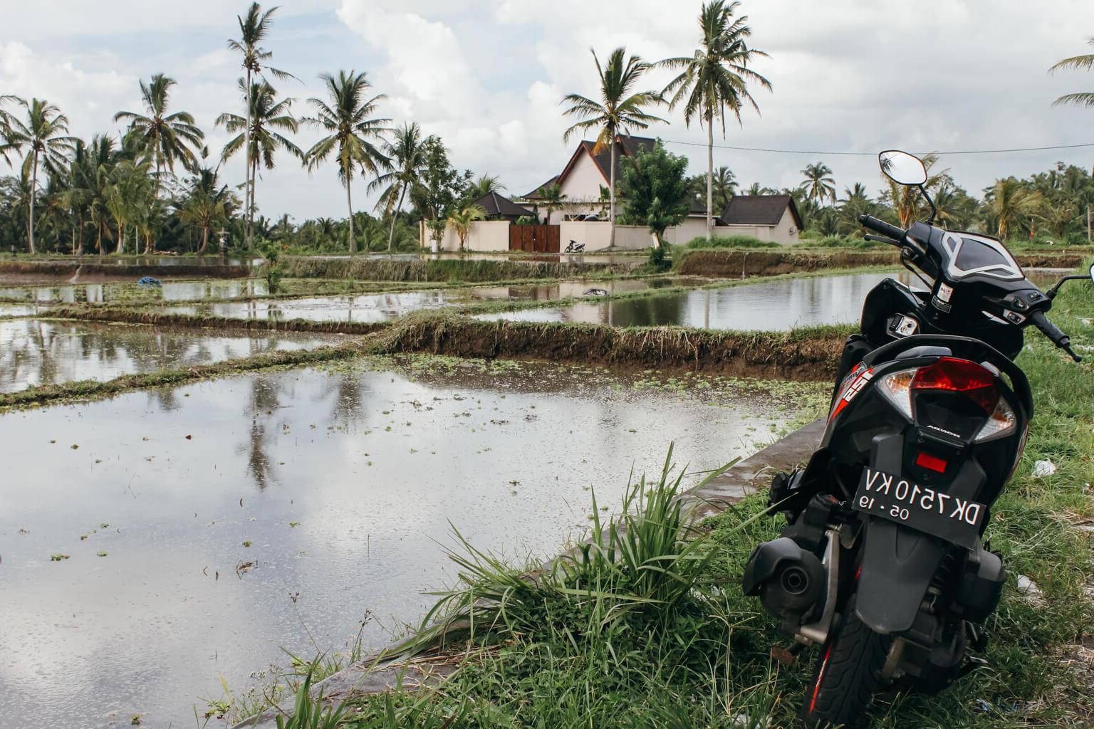 Bali Stadtführer: Ein gesunder, real-food, glutenfreier Reiseführer für Bali (inklusive Ubud, Seminyak, Canggu, der Bukit-Region und mehr).