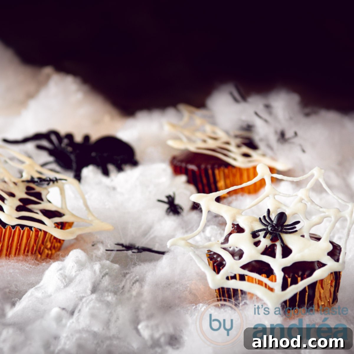 featured 111244