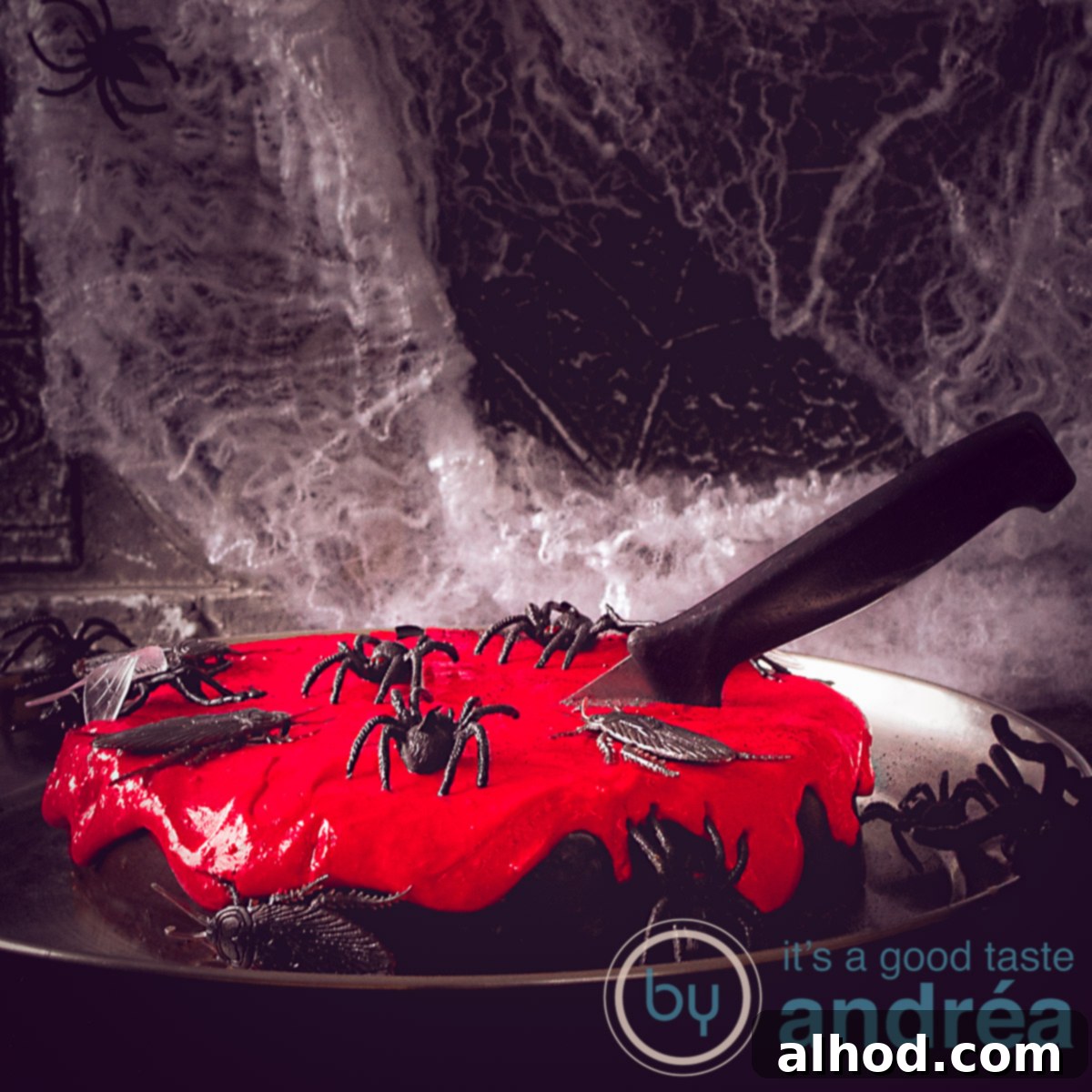 featured 112049