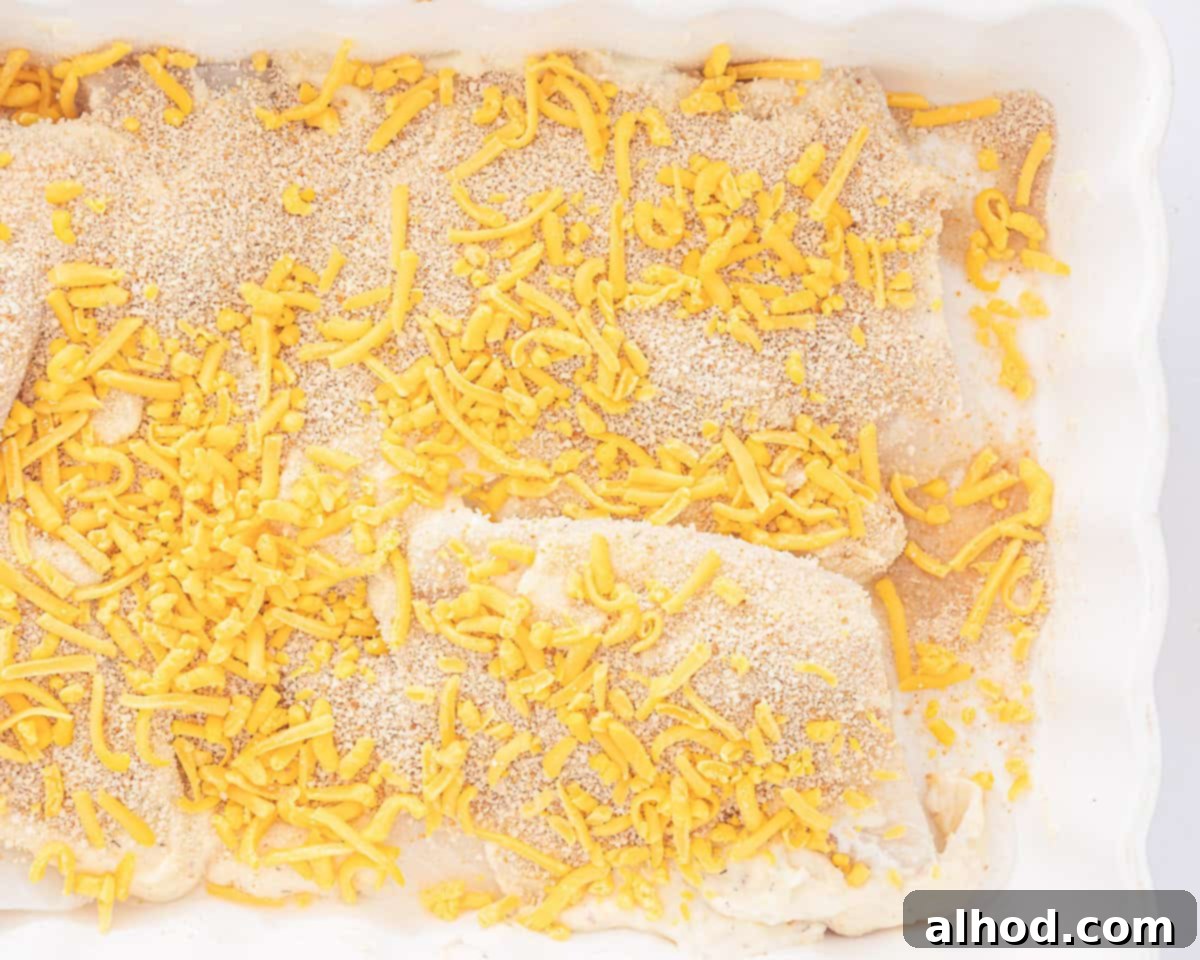 Effortless Cheesy Cod Bake 7 A white casserole dish with four cod fillets covered in a creamy sauce, now topped with a generous layer of grated cheddar cheese and breadcrumbs, ready for baking.