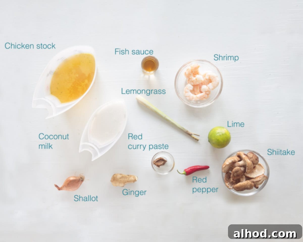 Tom Kha Goong Thai Coconut Shrimp Soup 3 Ingredients Tom Kha Goong on a white background with text description