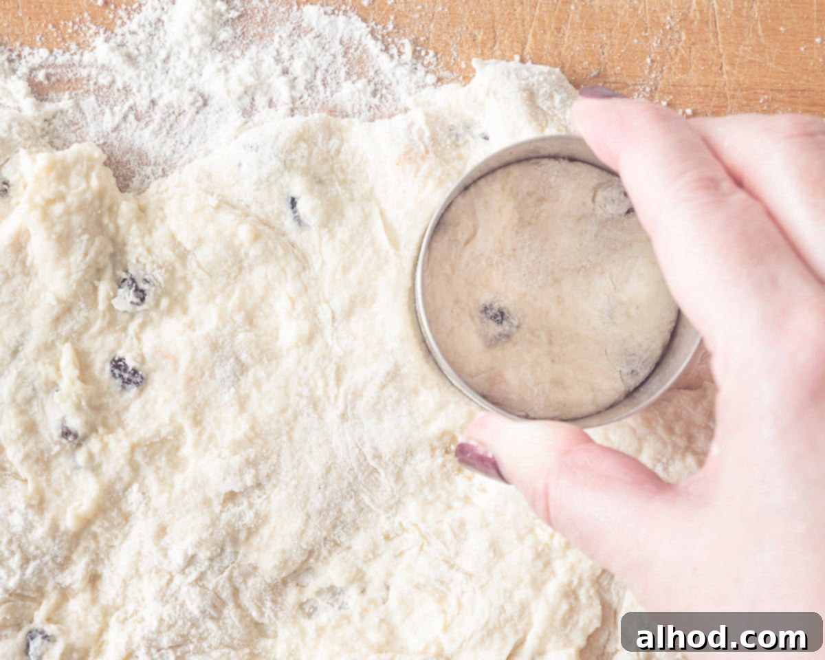 Teatime Bliss Speedy Orange Currant Scones 6 A round scone being cut out from the rectangle-shaped dough using a cookie cutter.