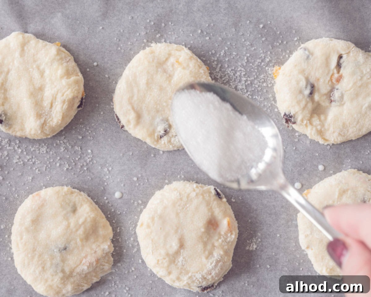 Teatime Bliss Speedy Orange Currant Scones 7 Unbaked scones on a baking sheet, lightly brushed with milk and sprinkled with sugar, ready for the oven.