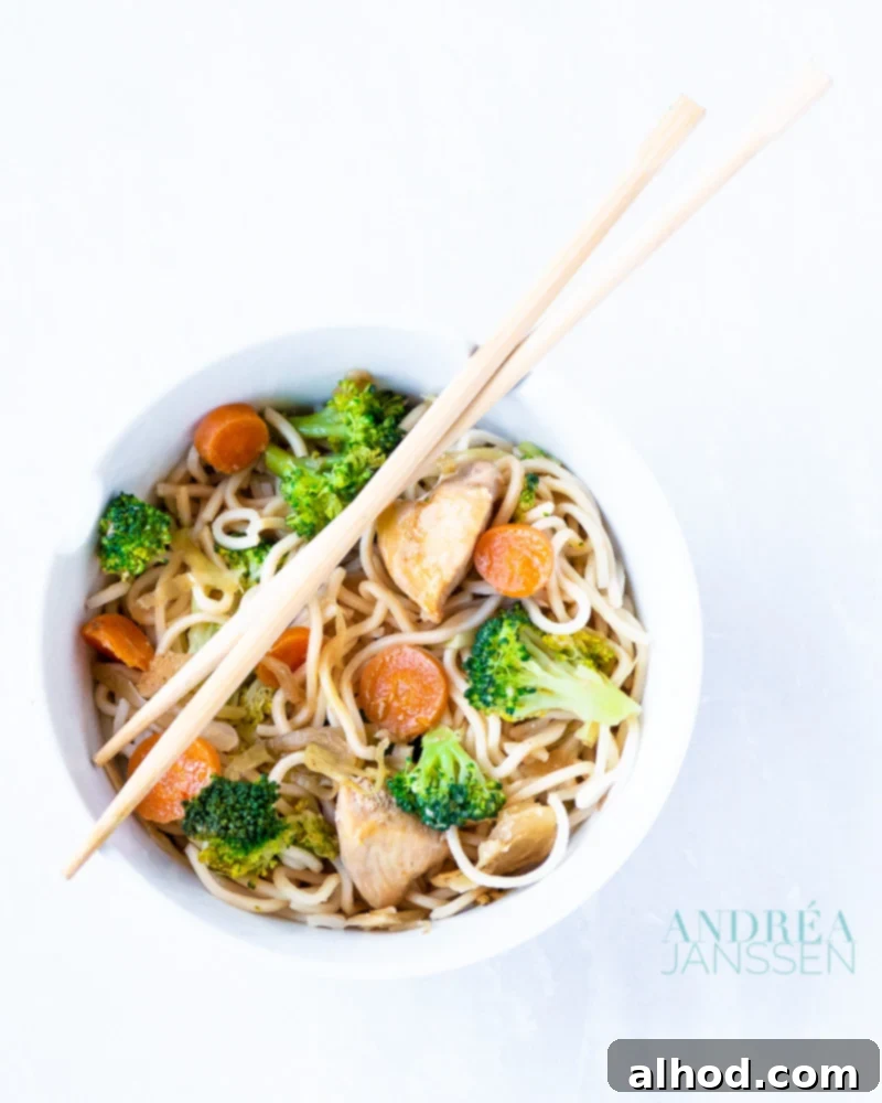 Chicken Lo Mein 2 gebakken eiernoedels met kip