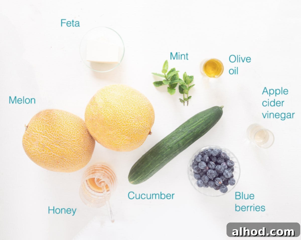 Melon Berry Bliss 3 Ingredients Melon and Blueberry Fruit Salad with a white background and text overlay
