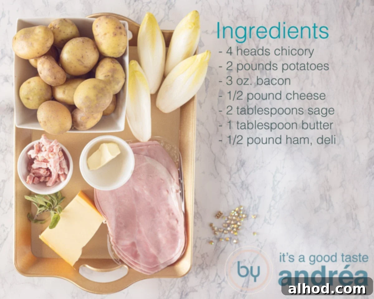 Kid-Friendly Belgian Endive Casserole 3 ingredients for a chicory casserole