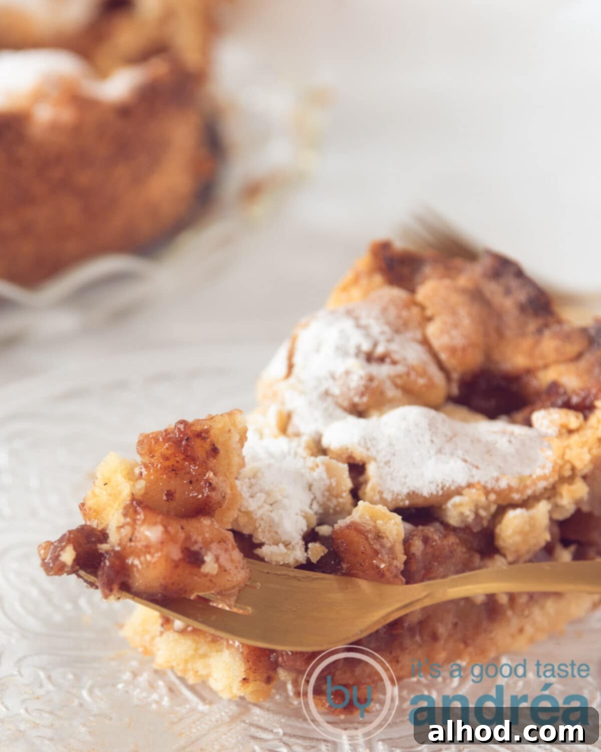 Grandma's Authentic Dutch Apple Pie 2 A slice of traditional Dutch apple pie with a bite taken out, showcasing the apple and currant filling and lattice top.