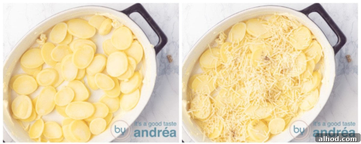 Emmentaler Potato Gratin 4 Layering potato slices and topping with Emmentaler cheese, salt, and pepper