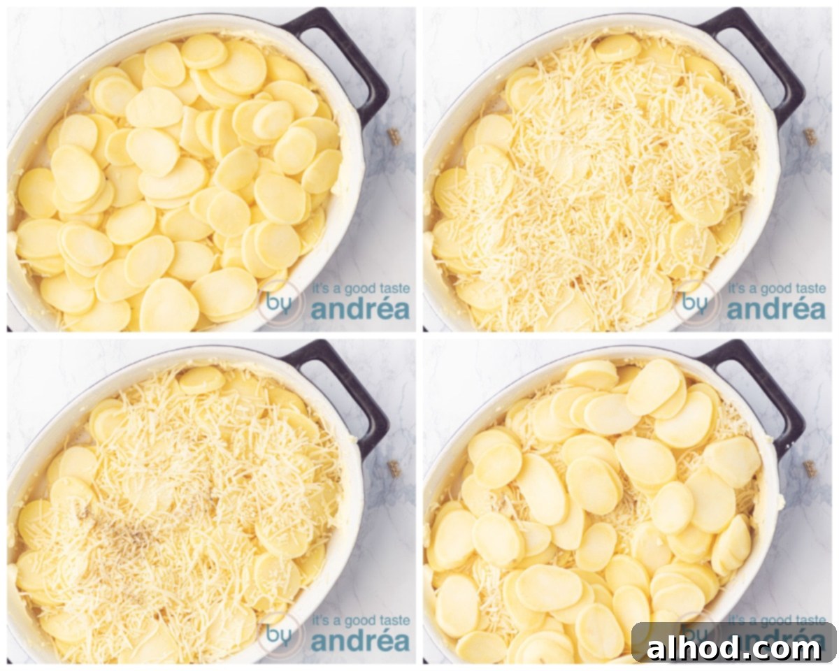 Emmentaler Potato Gratin 5 Adding second and third layers of potatoes, cheese, salt, and pepper to the gratin