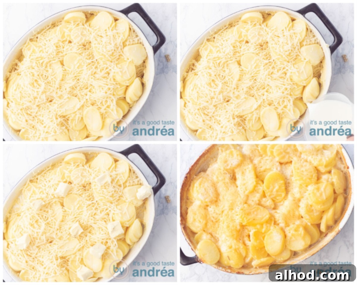 Emmentaler Potato Gratin 6 Topping potato gratin with cheese and butter, adding milk, and baking in the oven
