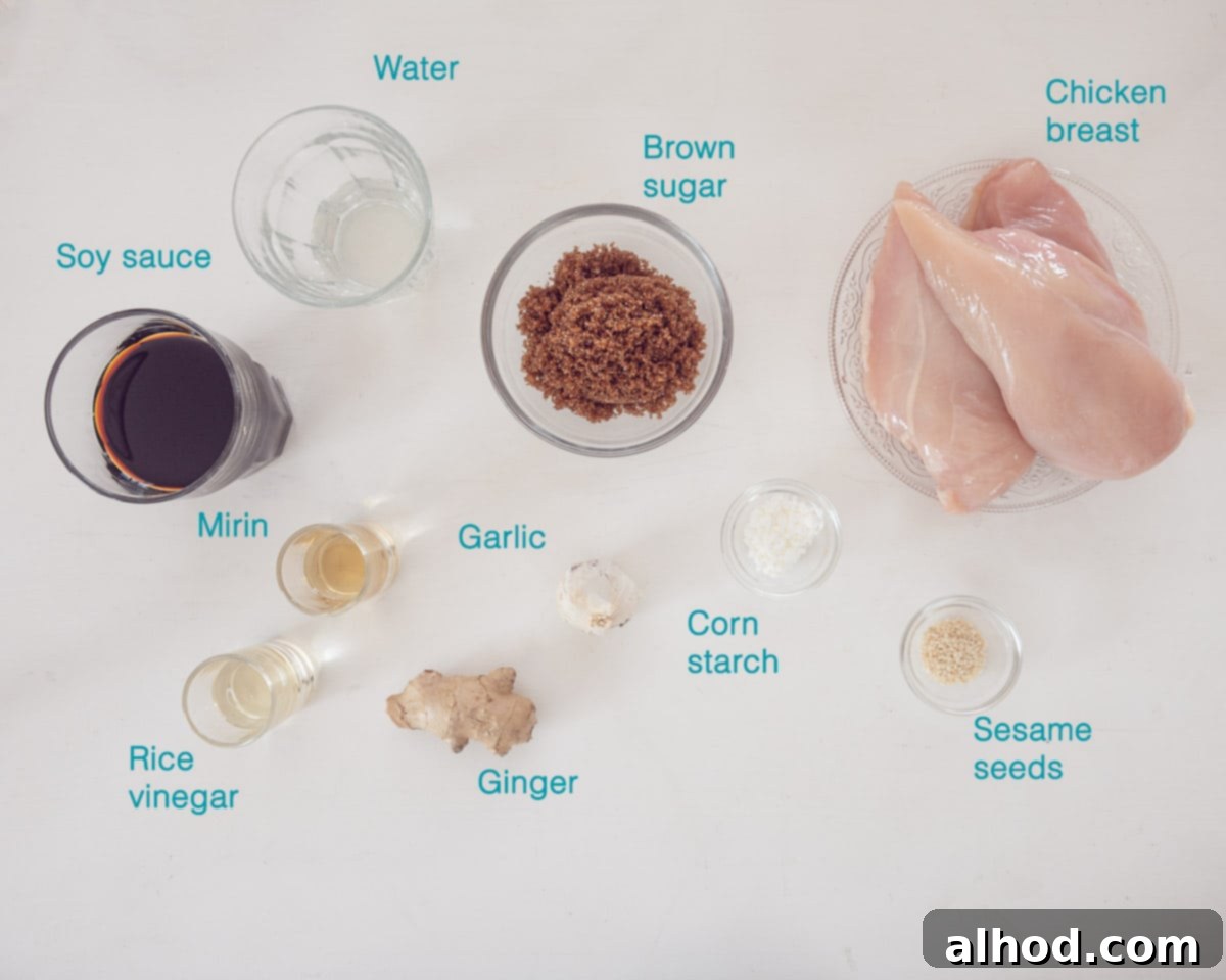 Authentic Japanese Chicken Yakitori 3 Ingredients Japanese Chicken Yakitori recipe, individually labelled on a white background