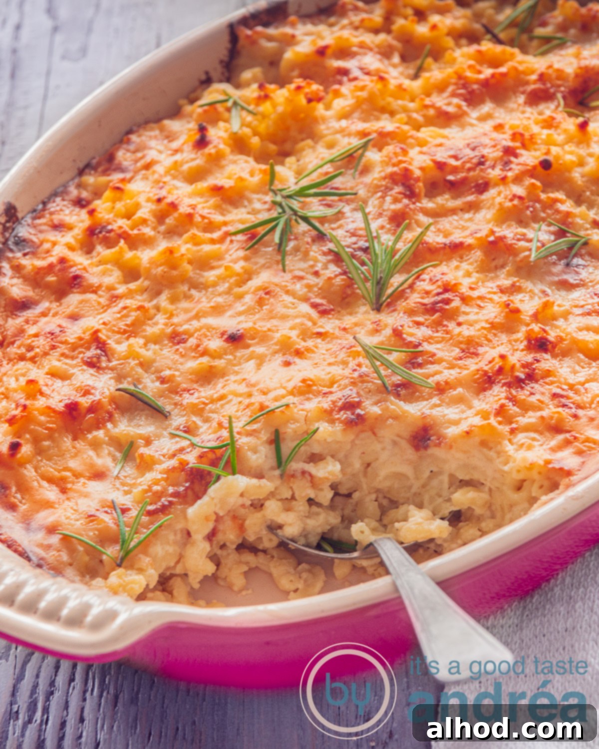 Homestyle Baked Mac and Cheese 3 A pink casserole dish filled with mac N cheese, topped with some fresh rosemary. A spoon sticks into the macaroni dish. A grey background