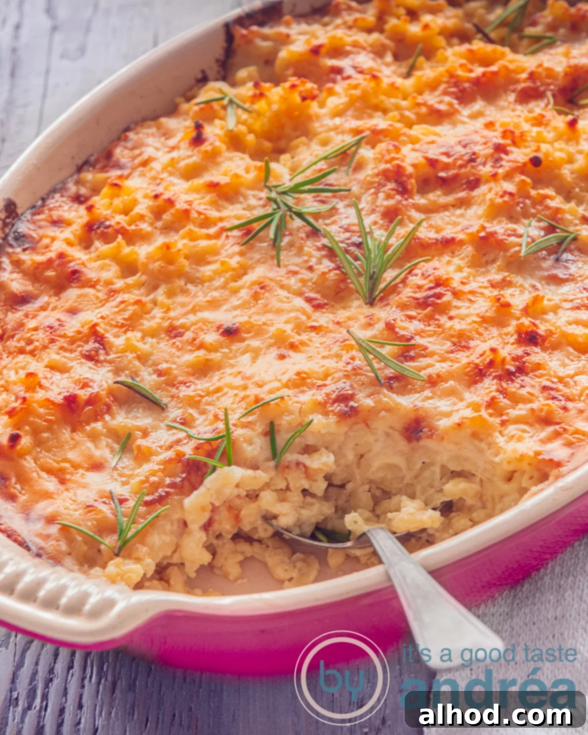 Golden Baked Mac and Cheese 3 A pink casserole dish filled with mac N cheese, topped with some fresh rosemary. A spoon sticks into the macaroni dish. A grey background, showcasing the ready-to-serve deliciousness.