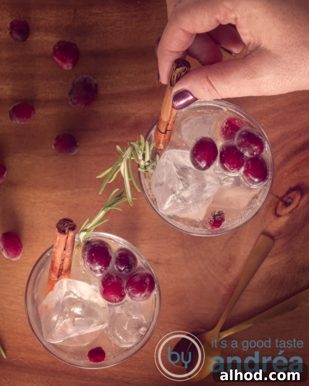 Thanksgiving Cranberry Sparkler 2 Elevation photo, two glasses from above with a Prosecco cocktail with cranberries, cinnamon and apple juice. A wooden background. A hand puts a sprig of rosemary in the glass.