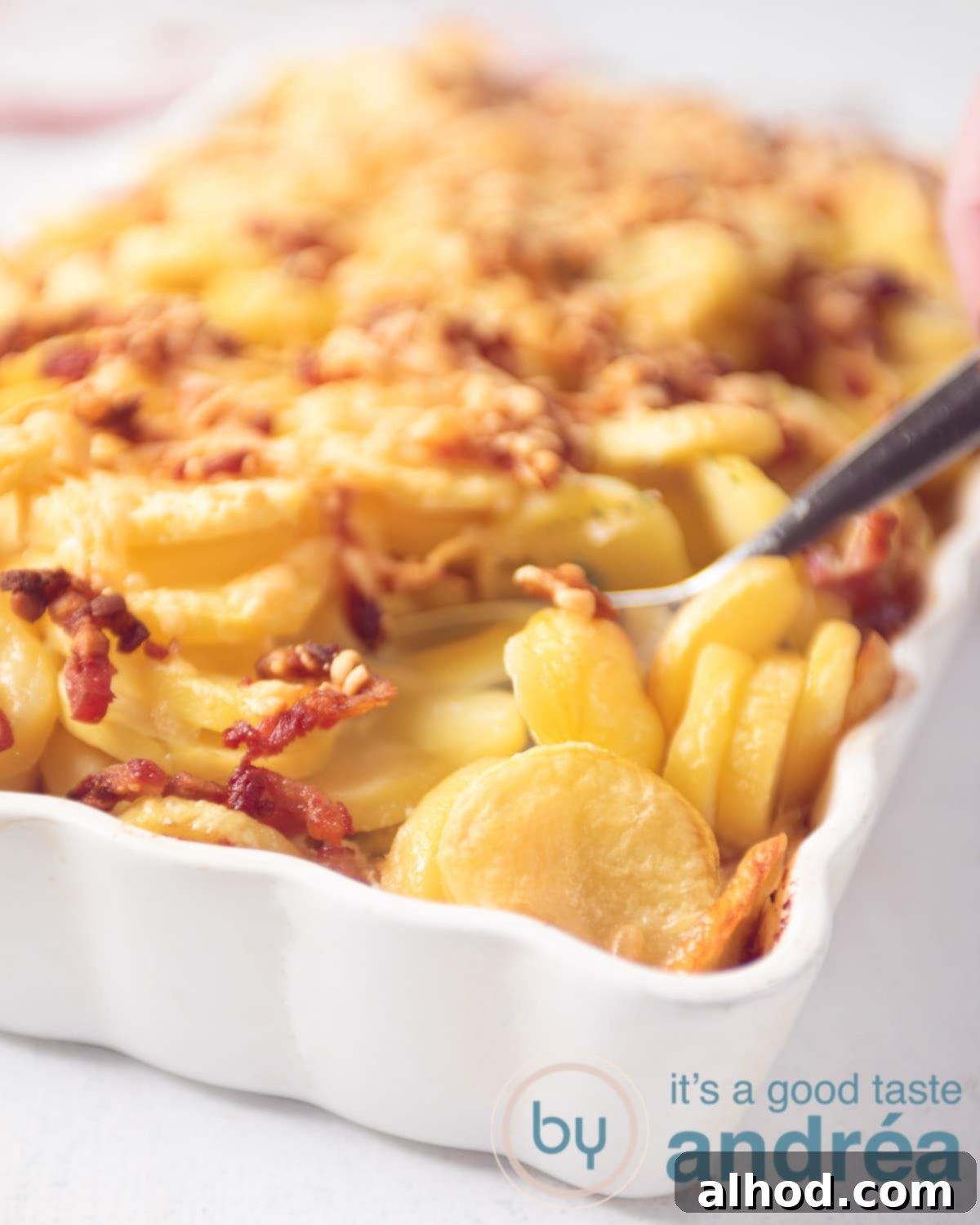 An elevation photo with an oven dish filled with potato slices, bacon, endive and minced meat. A spoon sticks in it. On a white background.