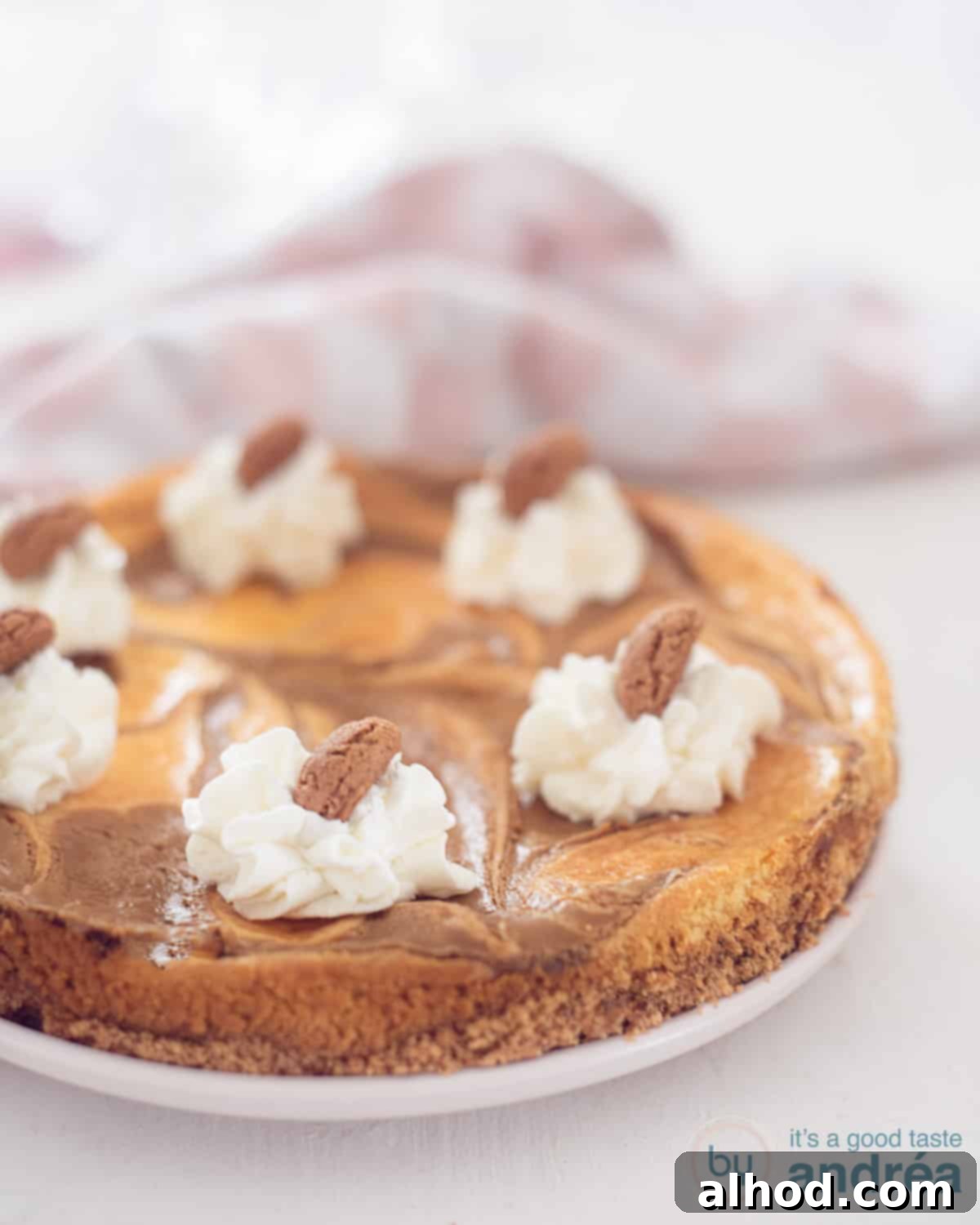 Sinterklaas Celebration Cheesecake 2 A height photo with a white plate with a speculoos cheesecake topped with whipped cream and gingerbread nuts. In the white background a pink and white tea towel.