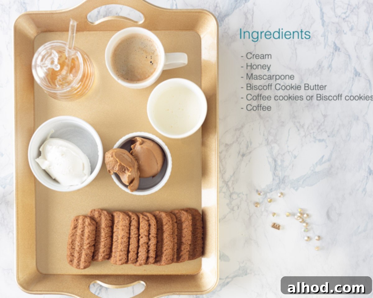 Creamy Biscoff Tiramisu 2 A curated selection of ingredients for Speculoos Tiramisu with Biscoff Cookie Butter, neatly arranged on a marbled background. Includes heavy cream, honey, mascarpone, Biscoff spread, Speculoos cookies, and a cup of coffee.