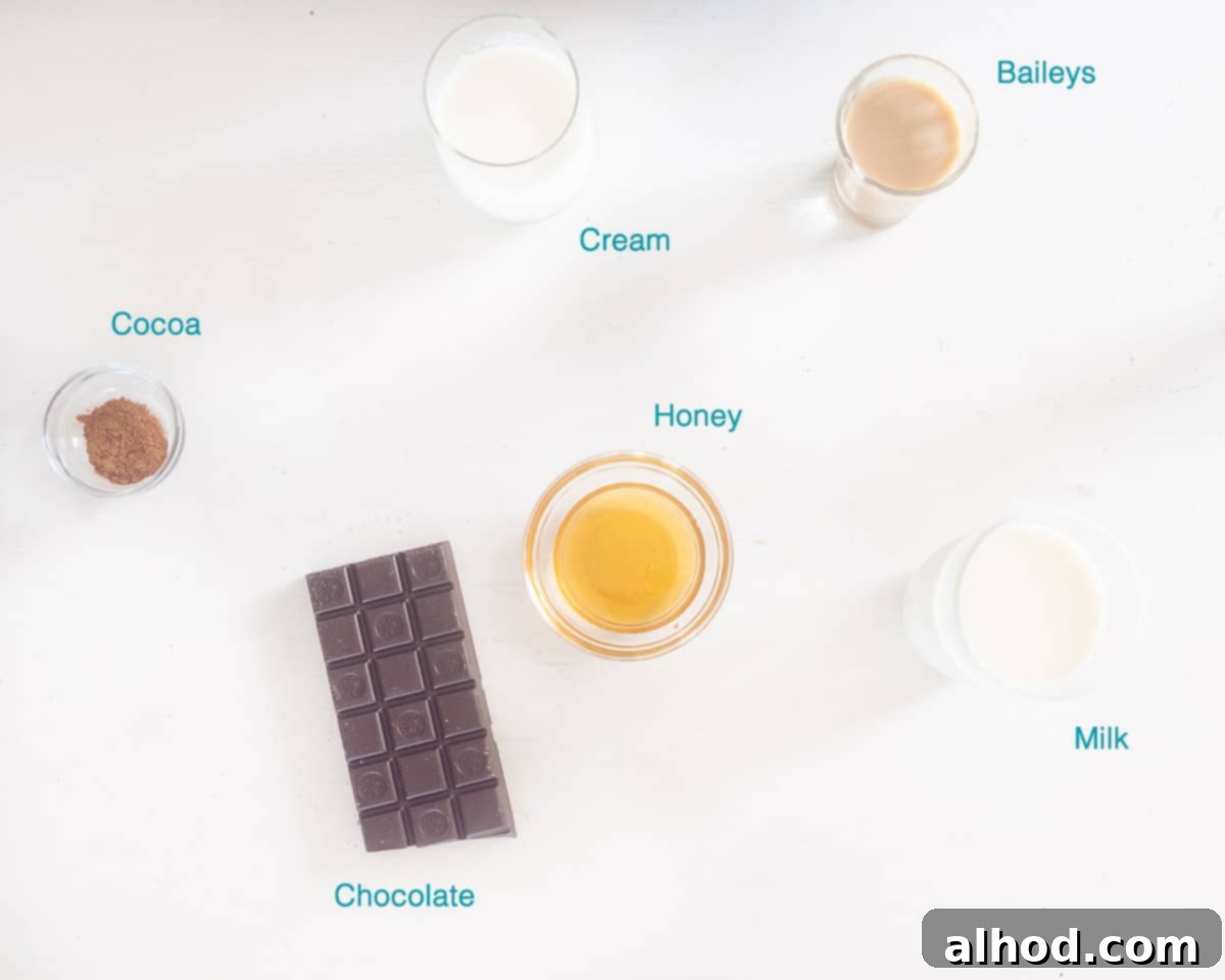 Decadent Baileys Hot Chocolate 3 Ingredients Baileys Hot chocolate, individually labelled on a white background