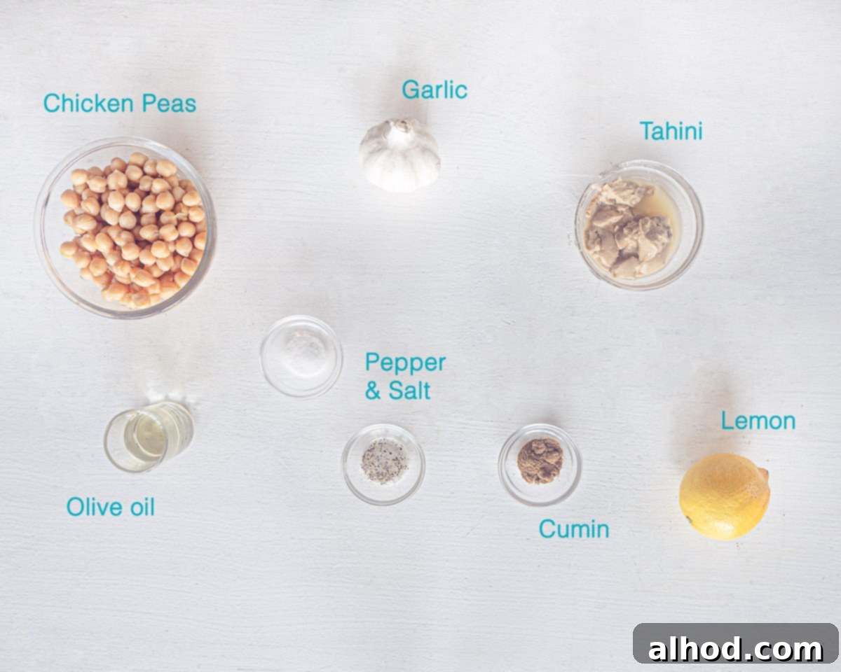 Zesty Lemon Garlic Hummus 3 Ingredients Lemon-Garlic Hummus