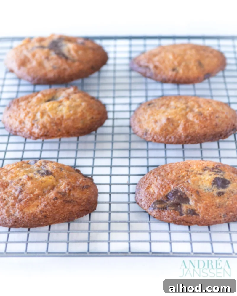 Freshly baked Black and white chocolate walnut cookies cooling on a wire rack.