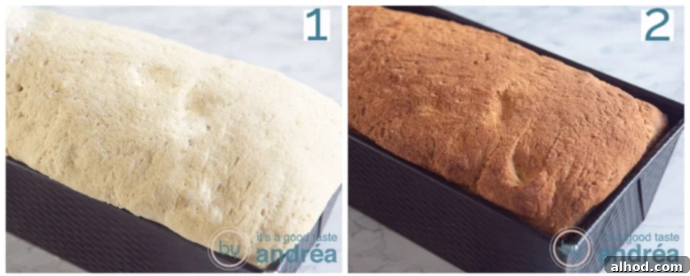 Easy Scratch-Made Vegan Cornbread Loaf 7 put the dough in the baking tin and bake the bread