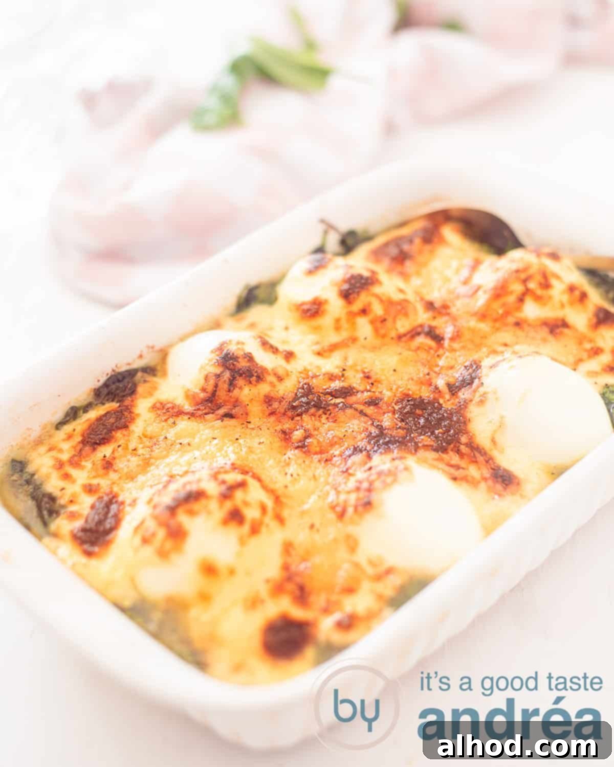 Gourmet Spinach Egg Florentine 2 A white baking dish filled with Egg a la Florentine, au gratin, on a white background. A pink white tea towel and spinach leaves in the background
