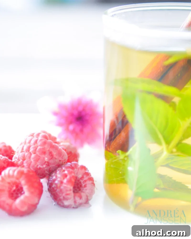 Aromatic Mint & Cinnamon Infusion 3 Fresh Mint Tea with Cinnamon