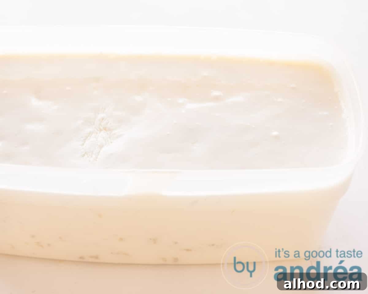 Pure Banana Bliss Ice Cream 6 A frozen bowl with banana ice cream