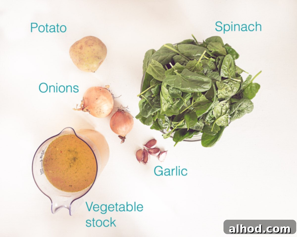 Hearty Vegan Spinach Potato Soup 3 A flat lay photograph showcasing the simple, fresh ingredients required for vegan spinach potato soup: potatoes, fresh spinach, onions, garlic, and vegetable stock.