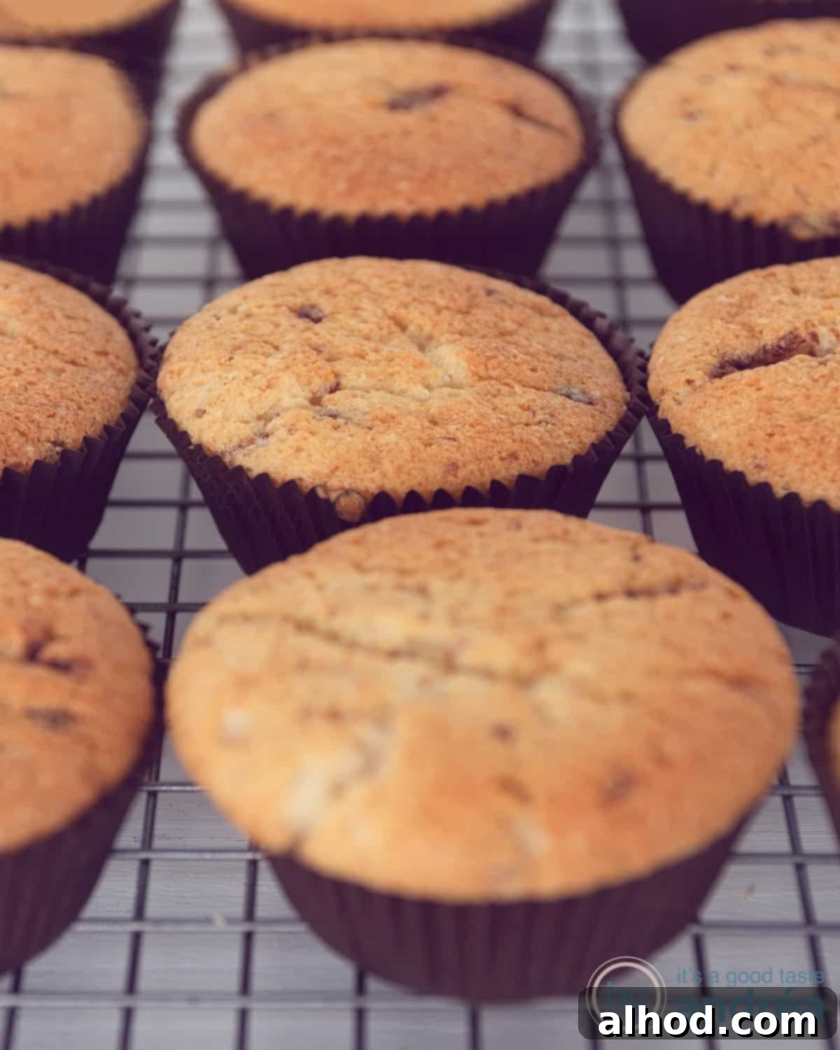 Freshly baked Chocolate Chip Cupcakes cooling on a wire rack, steam gently rising
