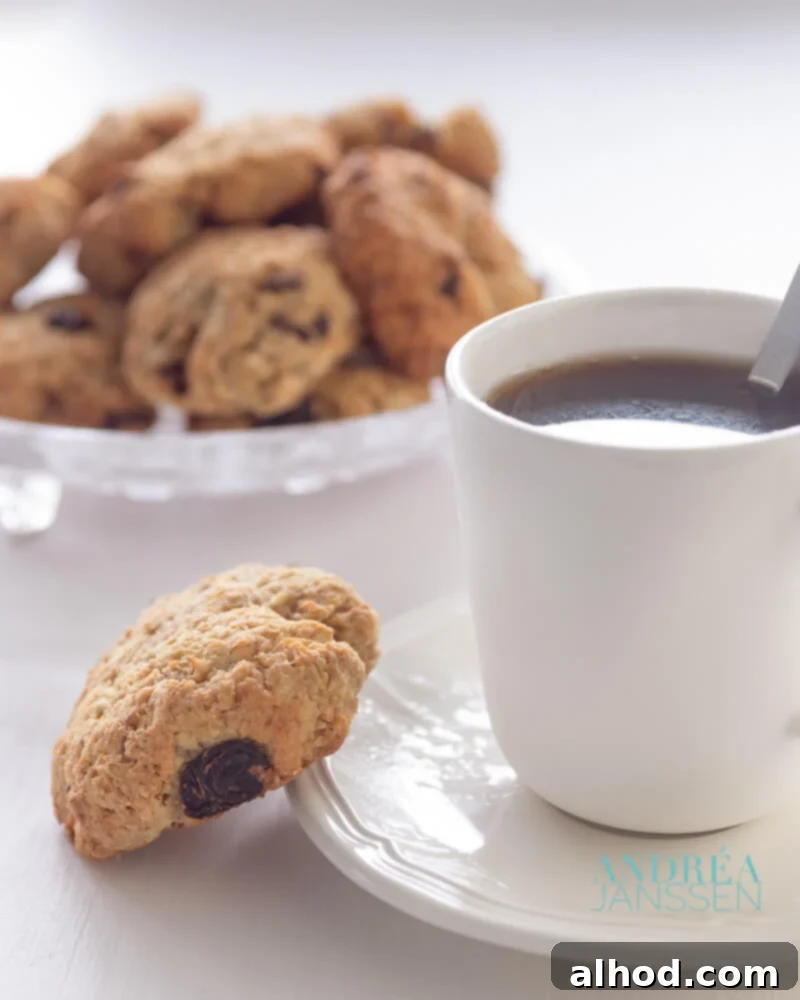 Soft and Chewy Oatmeal Raisin Cookies 4 Havermout rozijn koekjes