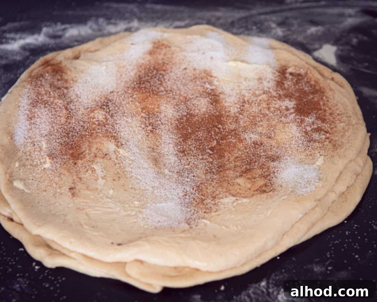Round circles of dough, cinnamon sugar sprinkled on top and in between