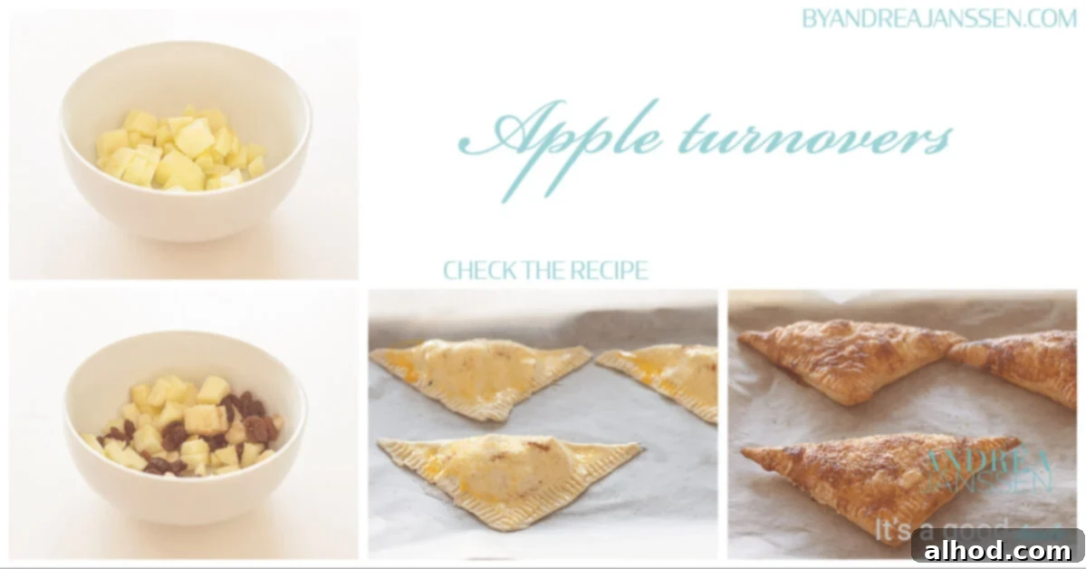 Appelflappen Dutch Apple Turnovers 4 apple turnovers