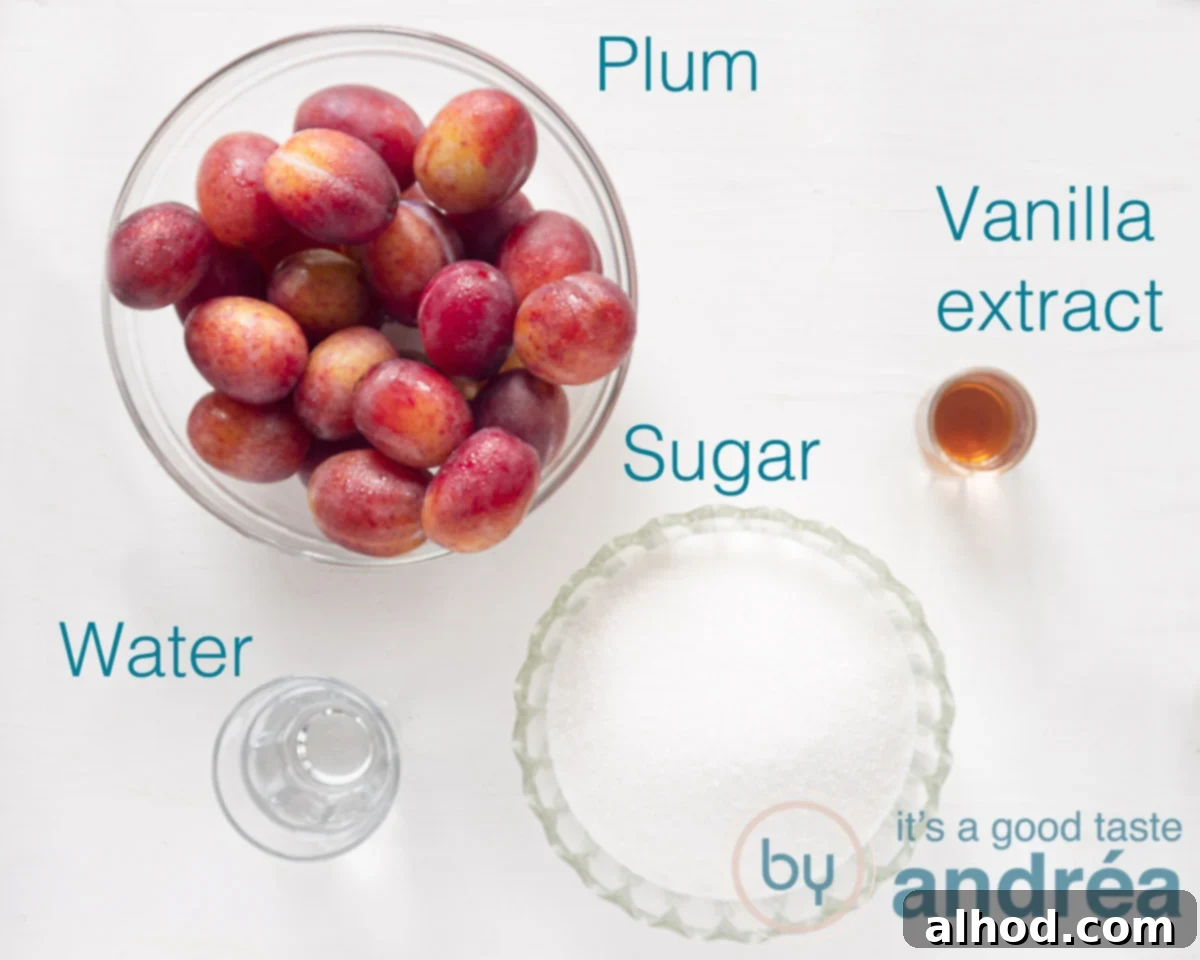Luscious Plum Vanilla Delight 3 A flat lay photograph showcasing the simple ingredients for plum and vanilla jam: fresh halved plums, sugar, and a bottle of vanilla extract.