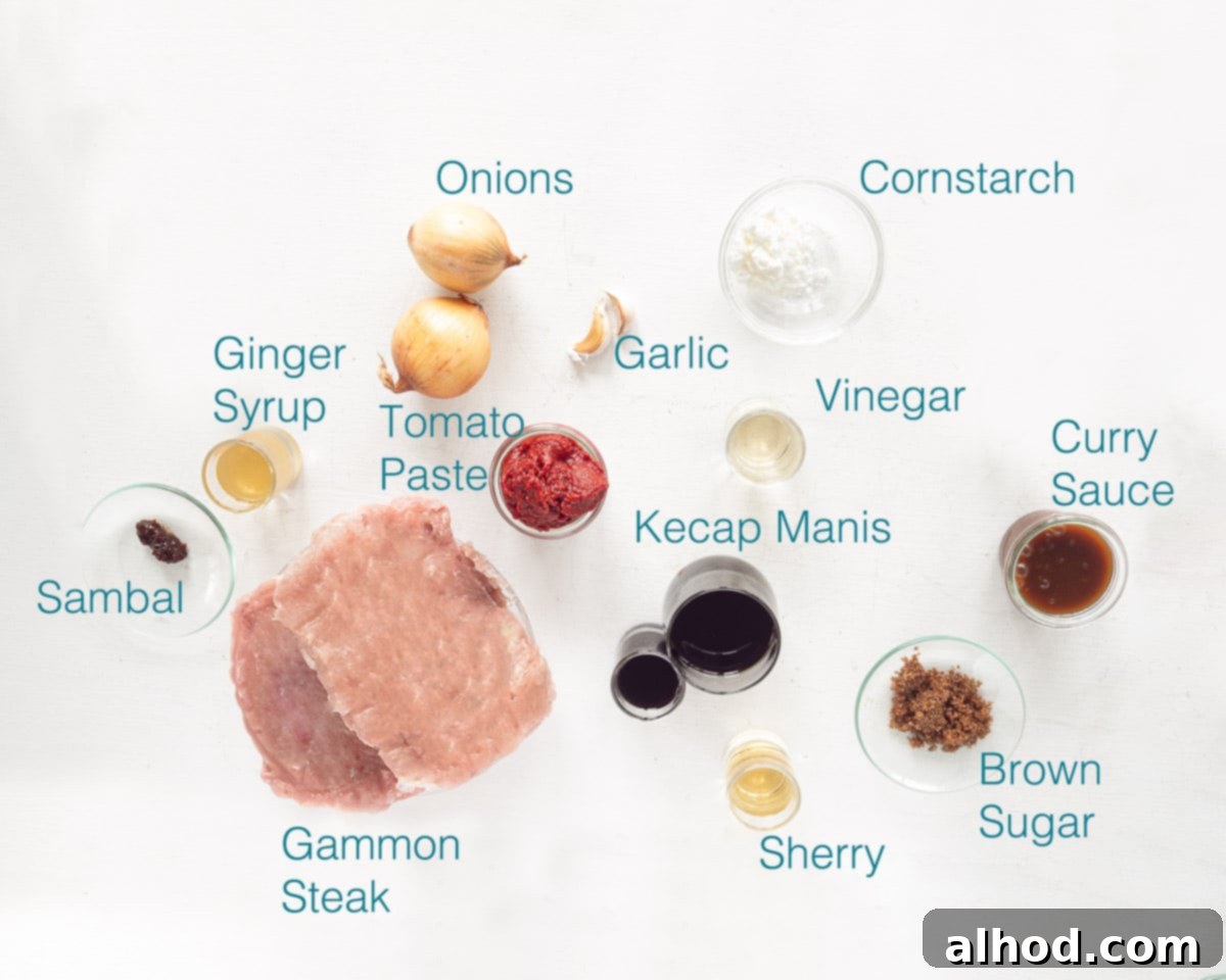 Authentic Chinese Babi Pangang Recipe 3 A selection of fresh ingredients laid out on a table for making Babi Pangang, including onions, garlic, pork, and various sauces.