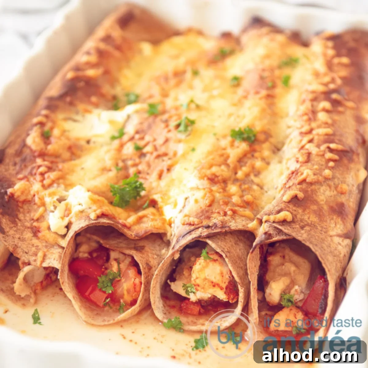 Ultimate Chicken Enchiladas 6 A square, appetizing photo displaying a white baking dish abundantly filled with chicken enchiladas in a creamy, richly spiced tomato sauce, all perfectly au gratin with melted, bubbly cheese.