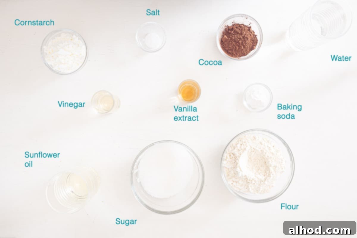 A neatly arranged collection of ingredients for Dairy-Free Chocolate Cupcakes, with each item clearly labeled and presented individually on a clean white background, ready for baking.