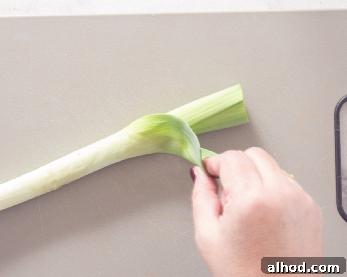 Speedy Leek Cleaning Made Simple 3 A fresh leek on a grey background, demonstrating the peeling of its tough outer leaf.