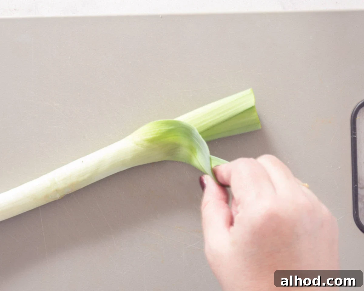 Effortless Leek Prep 3 A leek on a grey background, pulling of the outer leaf