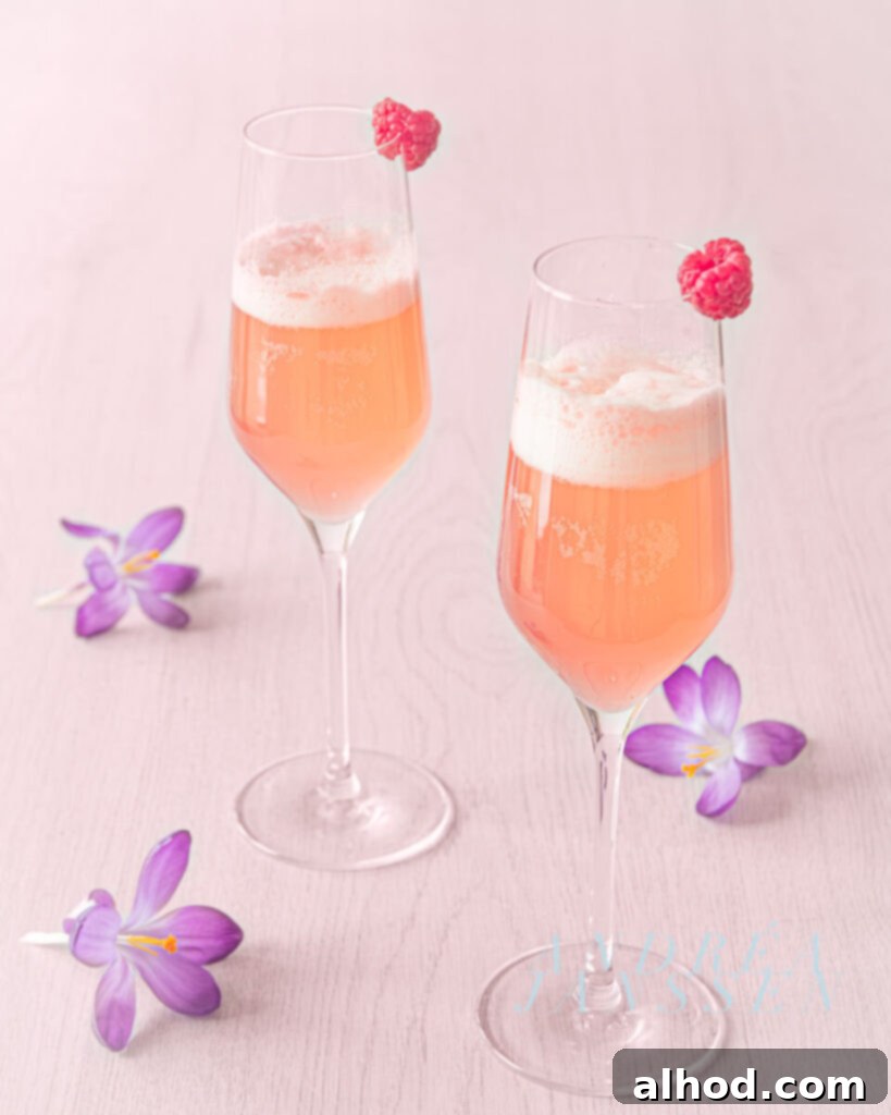 Raspberry Bloom Spritzer 2 Spring cocktail with raspberries