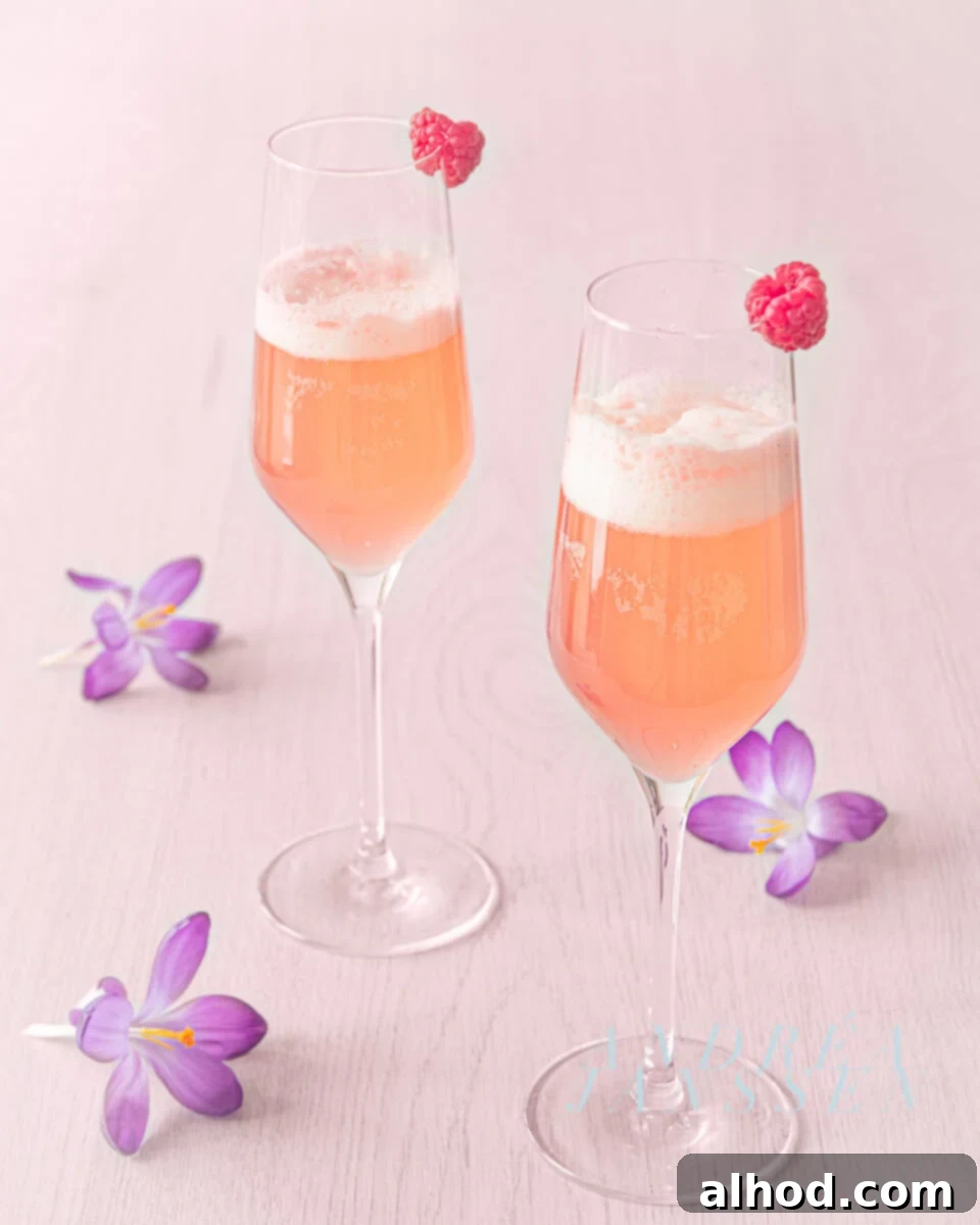 Raspberry Bloom Spritzer 3 Spring cocktail with raspberries