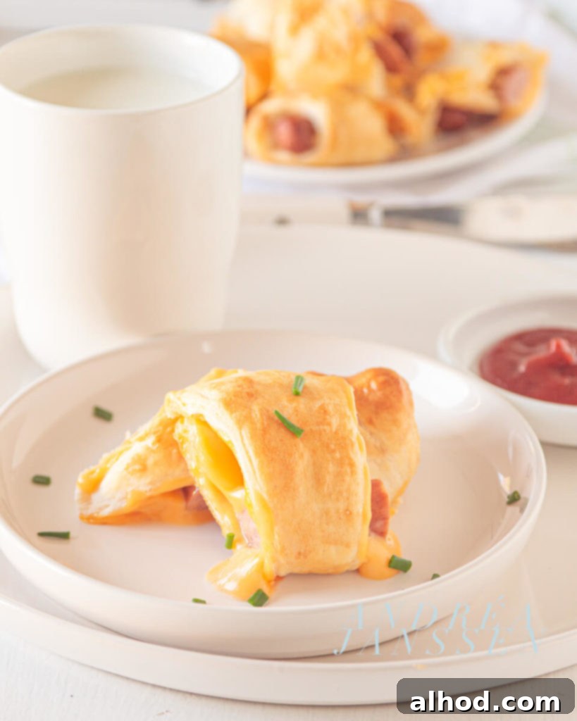 Golden Cheesy Pigs in a Blanket 2 pigs in a blanket with cheese
