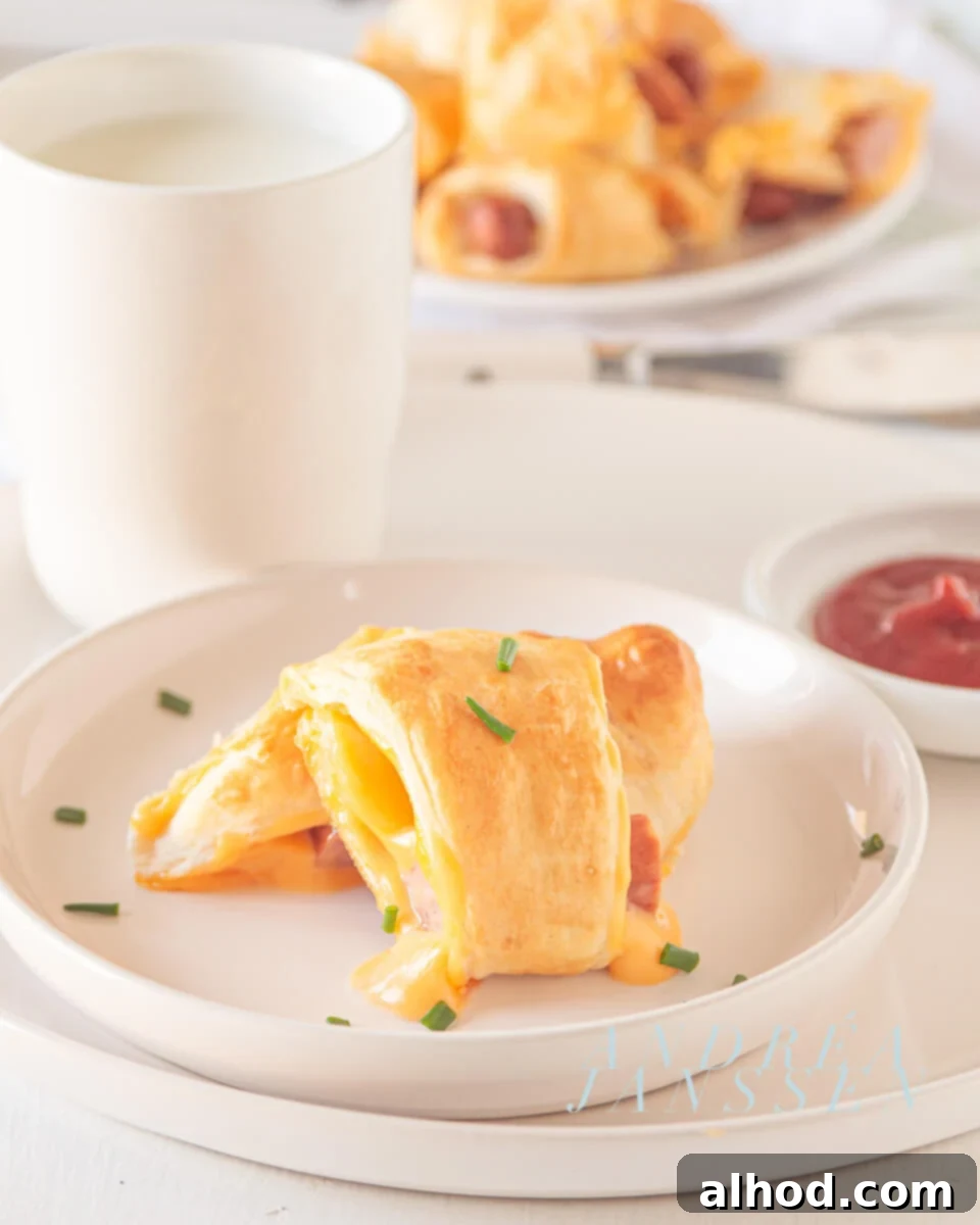 Golden Cheesy Pigs in a Blanket 3 pigs in a blanket with cheese