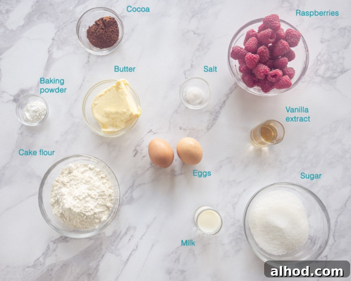 Chocolate Raspberry Loaf Delight 3 Ingredients Chocolate Raspberry Loaf Cake, individually labelled on a white background.