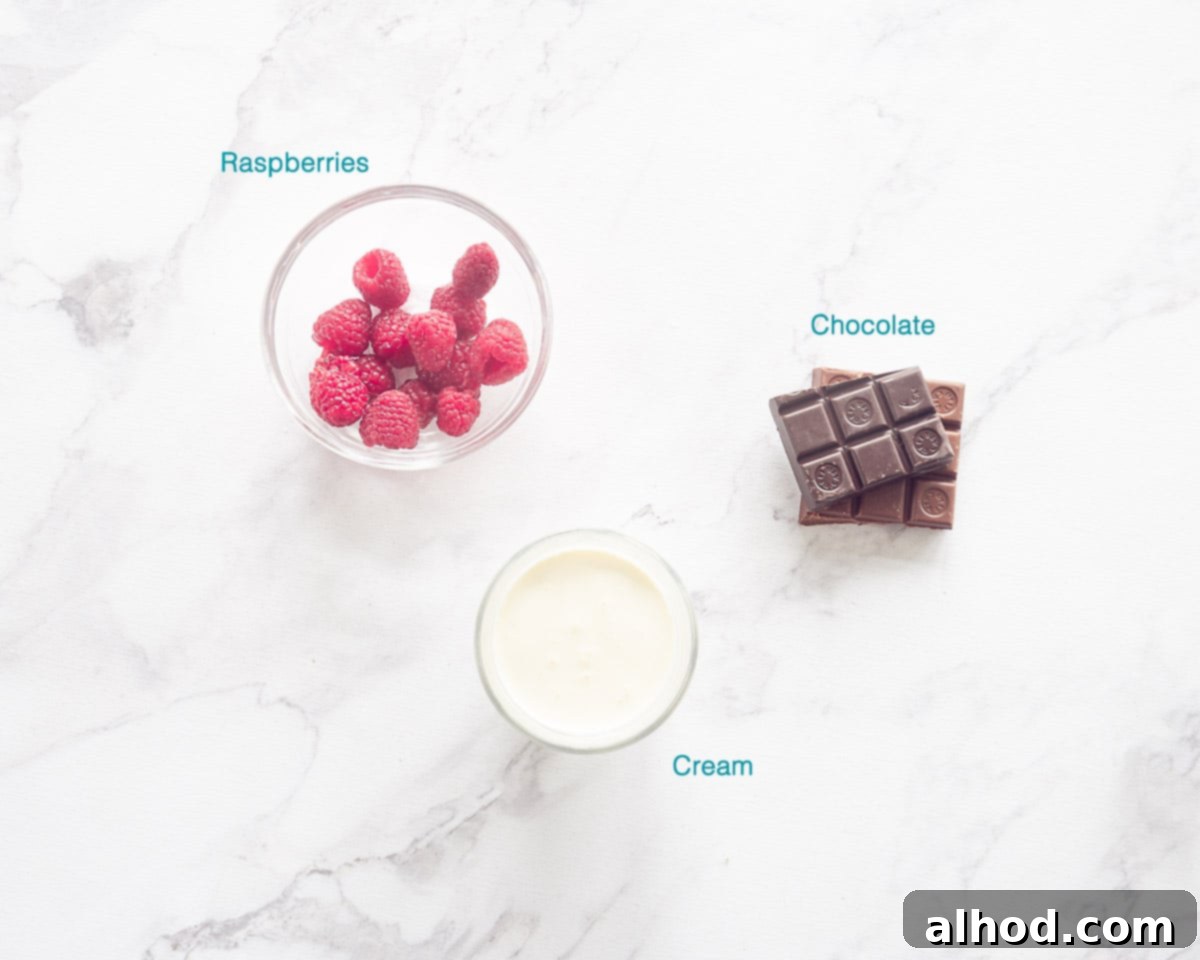 Chocolate Raspberry Loaf Delight 4 Ingredients Chocolate ganache, individually labelled on a white background