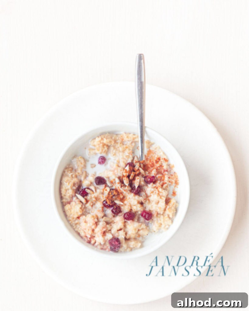 Pomegranate Sunflower Cinnamon Oatmeal 2 Oatmeal with pomegranate, sunflower seeds and cinnamon