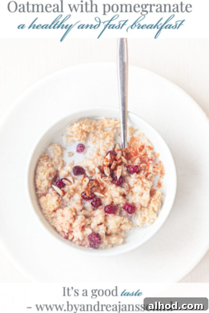Pomegranate Sunflower Cinnamon Oatmeal 5 Oatmeal with pomegranate, sunflower seeds and cinnamon